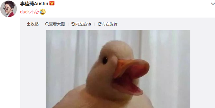 duck不必什么意思