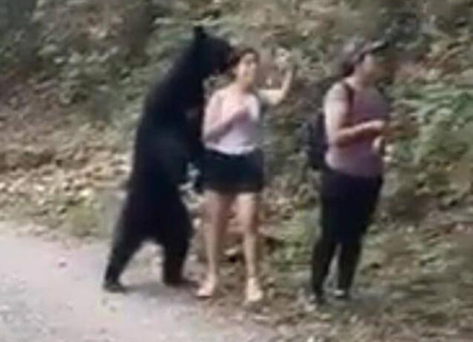 女子被黑熊抱住